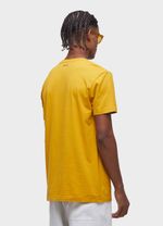 7220501294_TSHIRT-VINTAGE-ARPOADOR-SUNSHINE-MC_2