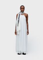 LENCO PIRARUCU SPINE