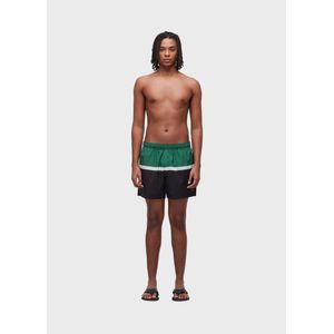 Riva beach shorts