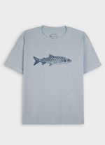 Big shirt sardinha